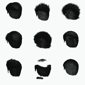 Polygon Hair Collection 3